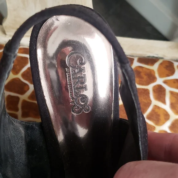 Carlos - Picture 8 of 11